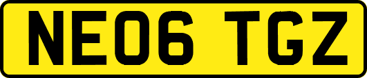 NE06TGZ