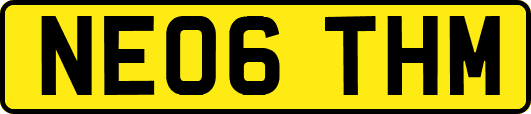 NE06THM