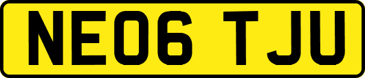 NE06TJU