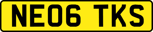 NE06TKS