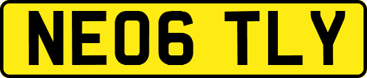 NE06TLY