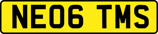 NE06TMS