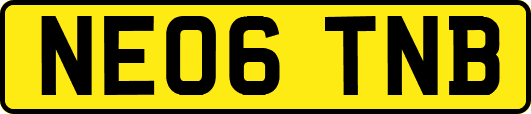 NE06TNB