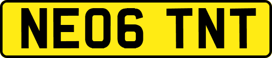 NE06TNT
