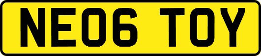 NE06TOY