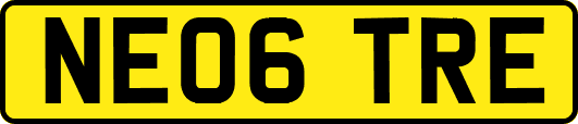 NE06TRE