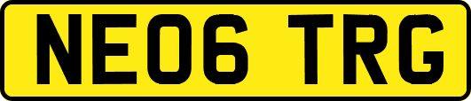 NE06TRG