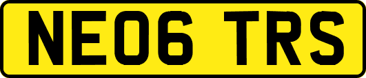 NE06TRS