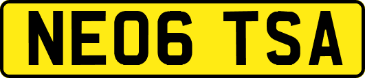 NE06TSA