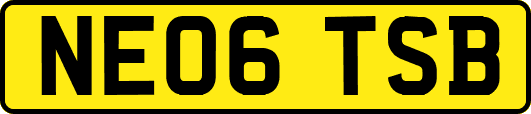 NE06TSB