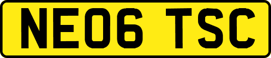 NE06TSC