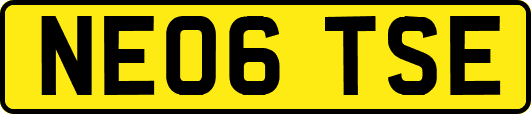 NE06TSE