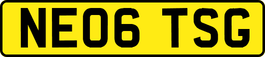 NE06TSG