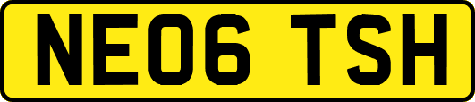 NE06TSH