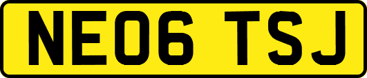 NE06TSJ