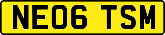 NE06TSM