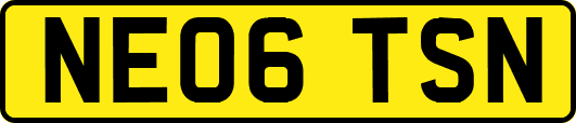 NE06TSN