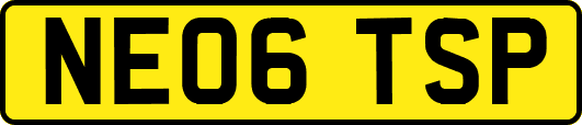 NE06TSP