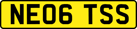 NE06TSS