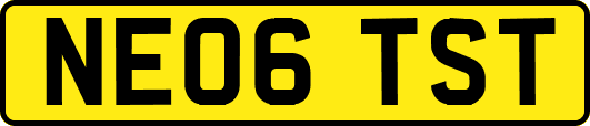 NE06TST