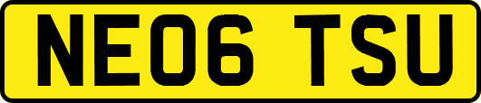 NE06TSU