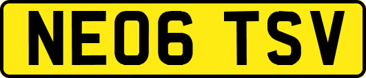 NE06TSV