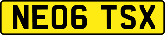 NE06TSX