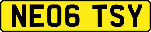 NE06TSY
