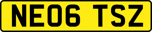 NE06TSZ