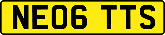 NE06TTS