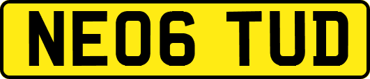 NE06TUD