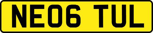 NE06TUL