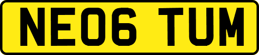 NE06TUM