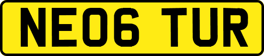 NE06TUR
