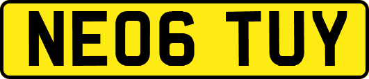 NE06TUY