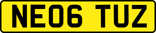 NE06TUZ