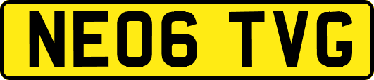 NE06TVG