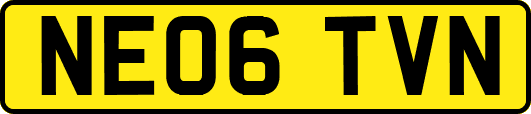 NE06TVN
