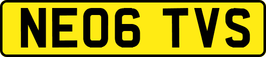 NE06TVS
