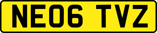 NE06TVZ