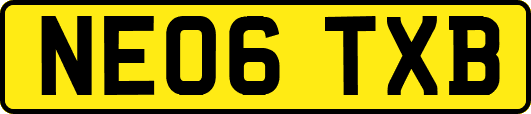 NE06TXB
