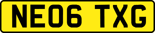 NE06TXG