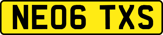 NE06TXS