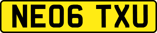 NE06TXU