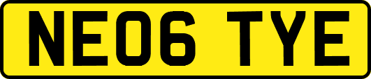 NE06TYE