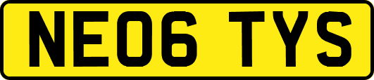 NE06TYS