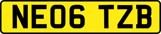 NE06TZB