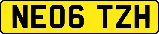 NE06TZH