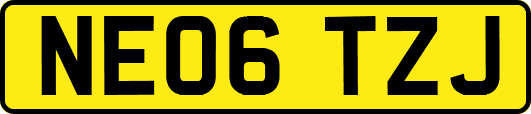 NE06TZJ