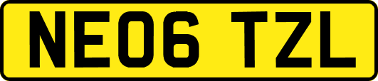 NE06TZL